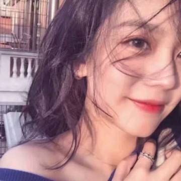 欧陆战争4拿破仑变态版下载