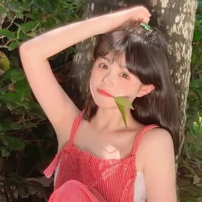 猫咪宝宝茶话会内购破解版下载